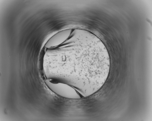 X0000096470912200802141655