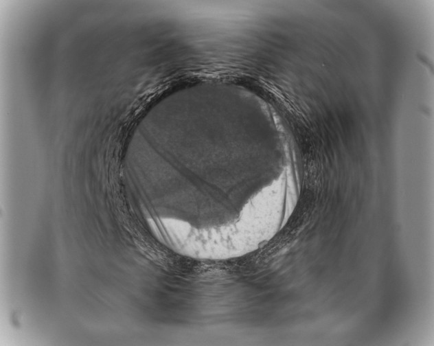 X0000096470913200802141654