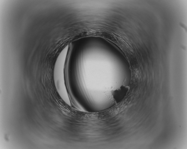 X0000096470914200802141654