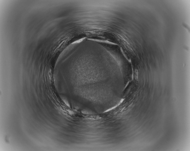 X0000096470915200802141654