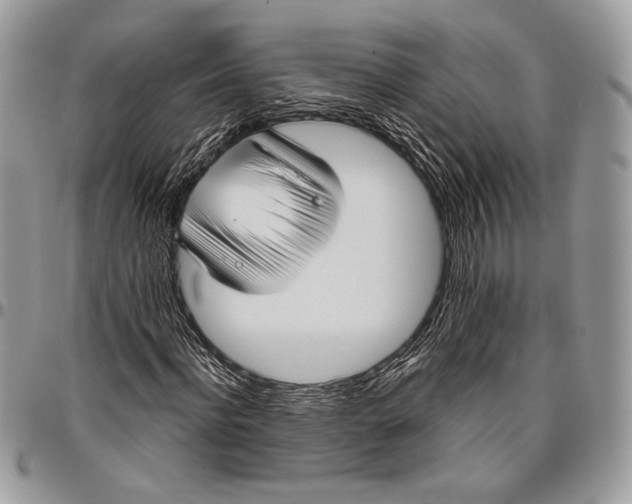 X0000096470916200802141654