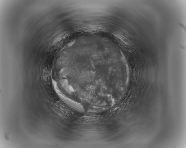 X0000096470917200802141654