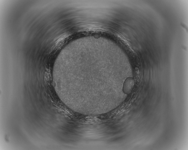 X0000096470918200802141654