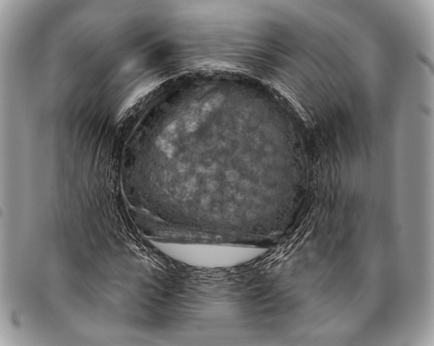 X0000096470919200802141654