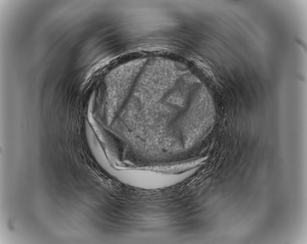 X0000096470920200802141654