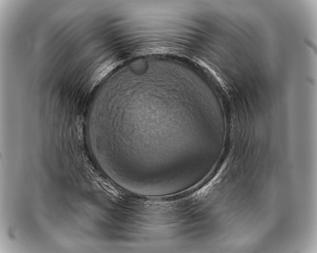 X0000096470921200802141654