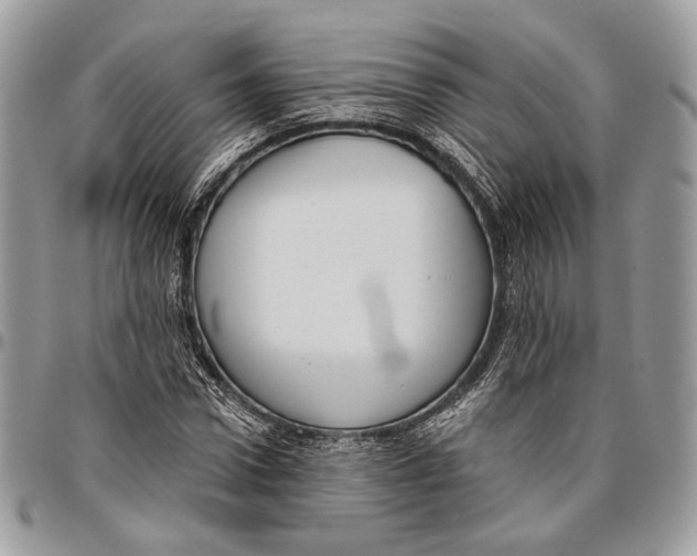 X0000096470922200802141654