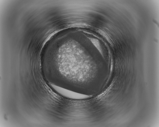 X0000096470923200802141654