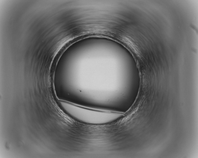 X0000096470924200802141654