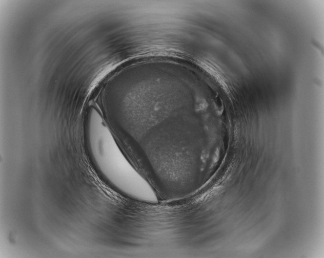 X0000096470925200802141654