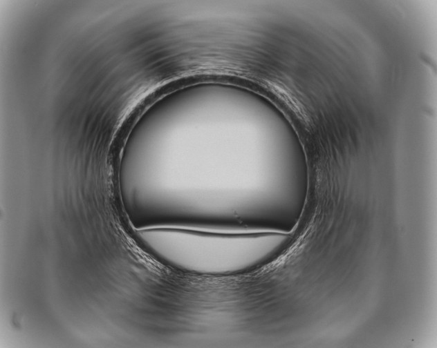 X0000096470926200802141654