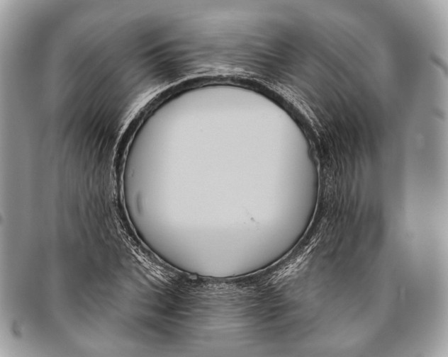 X0000096470927200802141654