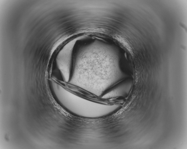 X0000096470928200802141654