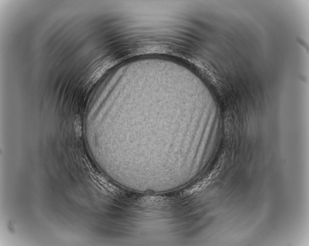 X0000096470929200802141654