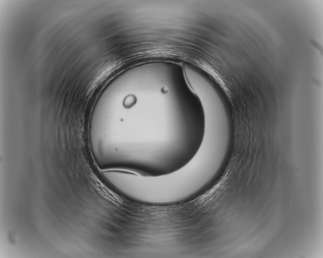 X0000096470930200802141654