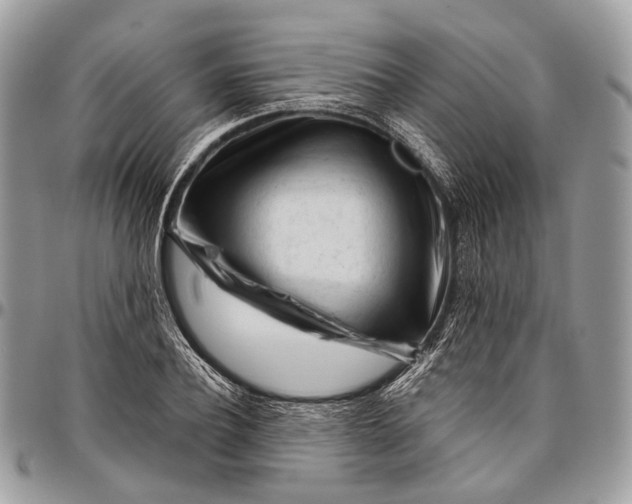 X0000096470932200802141654