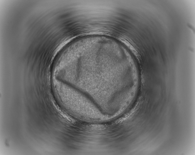 X0000096470933200802141654