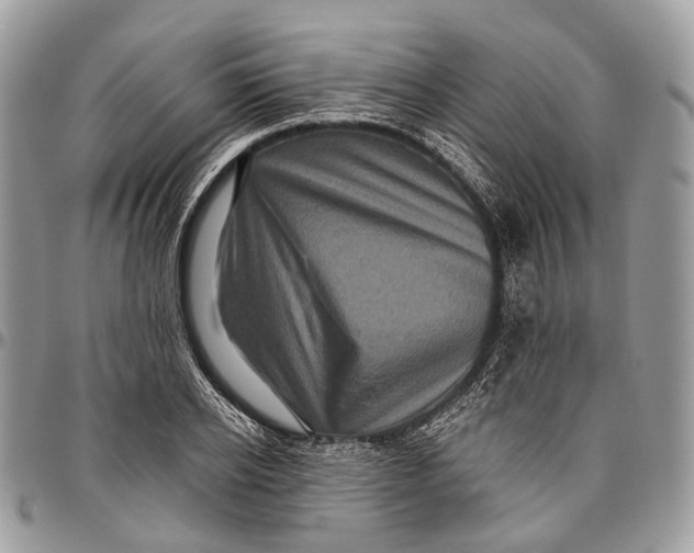 X0000096470934200802141654