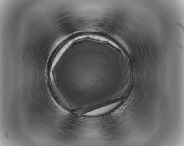 X0000096470935200802141654