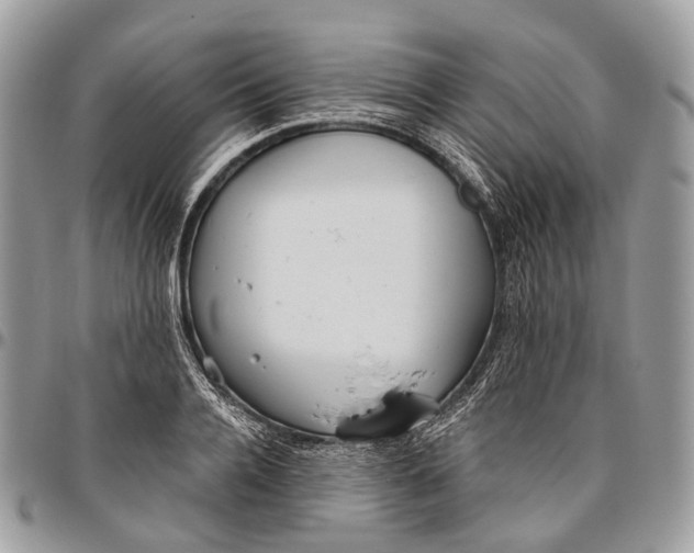 X0000096470936200802141654