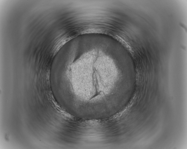 X0000096470937200802141654