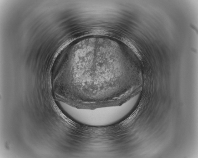 X0000096470939200802141654