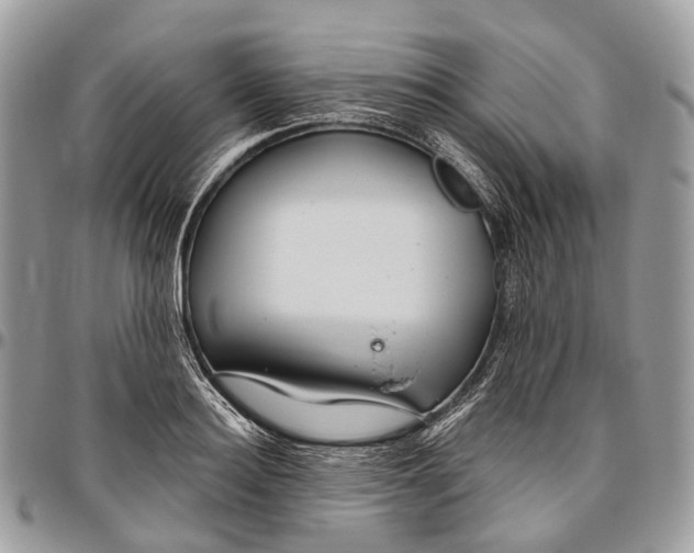 X0000096470940200802141654