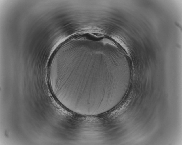 X0000096470941200802141654