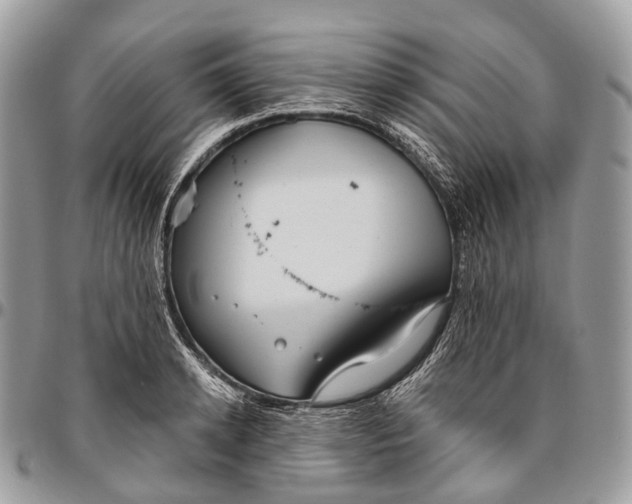 X0000096470942200802141654