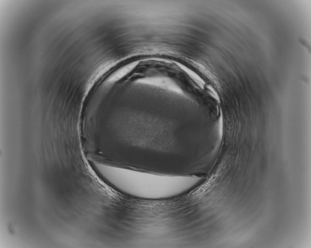 X0000096470943200802141655