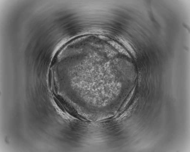 X0000096470944200802141655