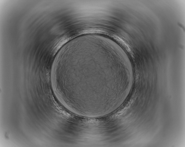 X0000096470945200802141655