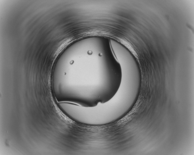 X0000096470946200802141655