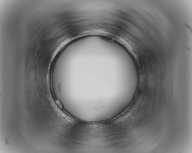 X0000096470947200802141655