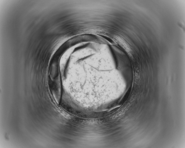 X0000096470948200802141655