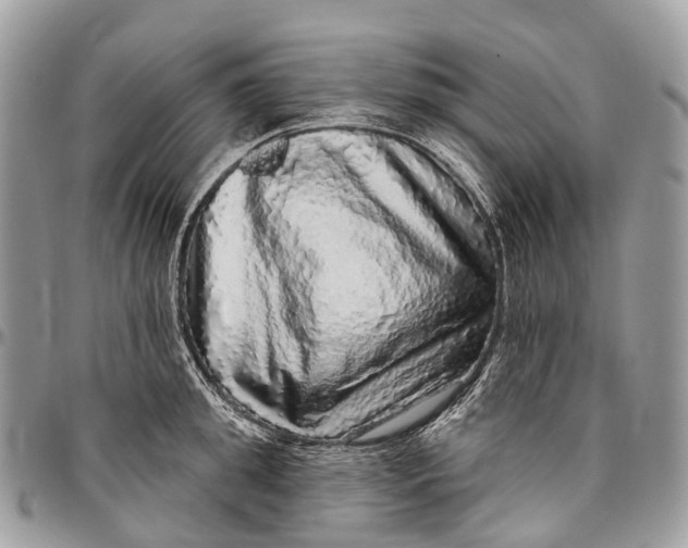 X0000096470949200802141655