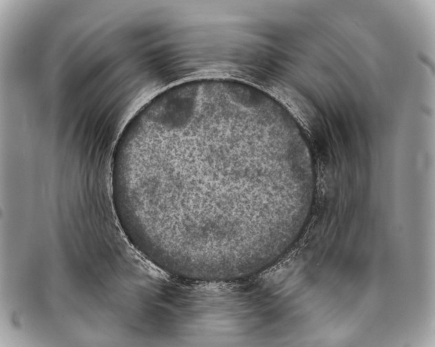 X0000096470950200802141655