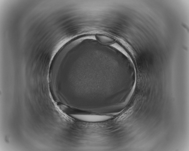 X0000096470951200802141655