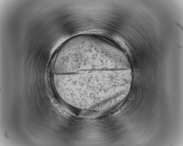 X0000096470952200802141655