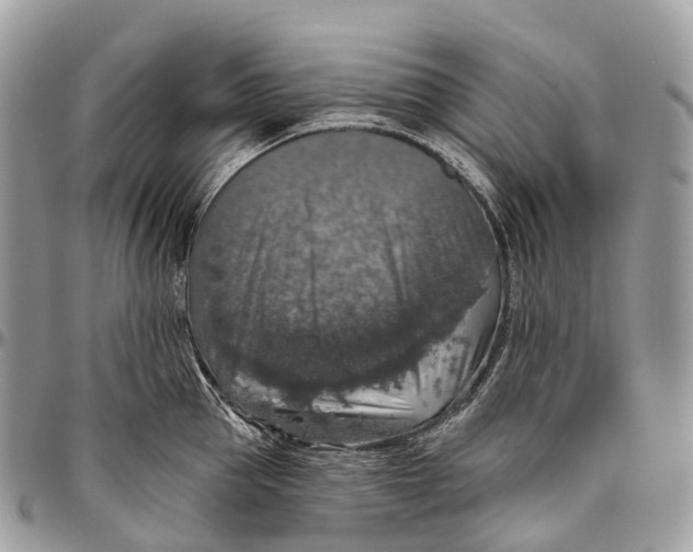 X0000096470953200802141655