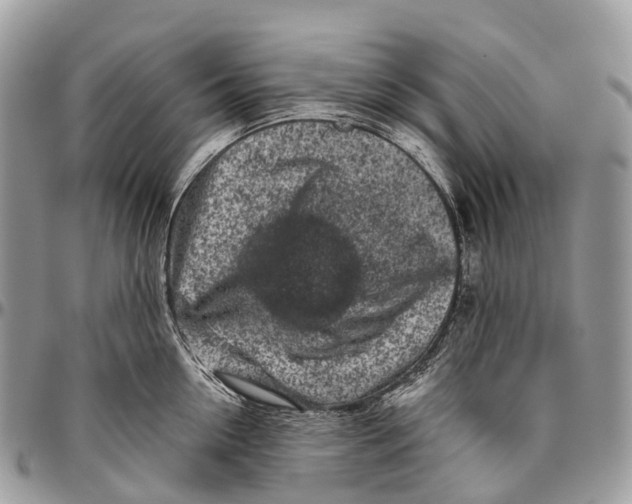 X0000096470954200802141655