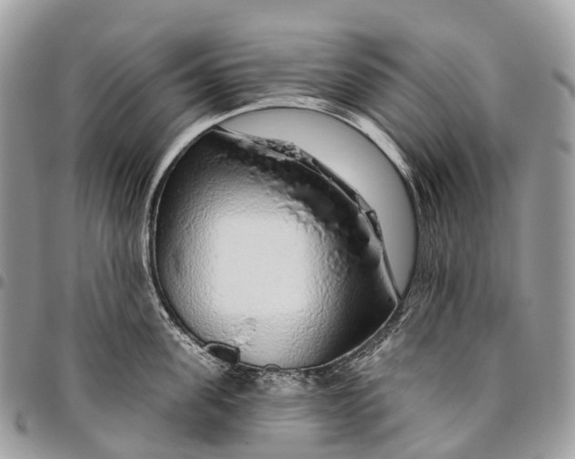 X0000096470955200802141655