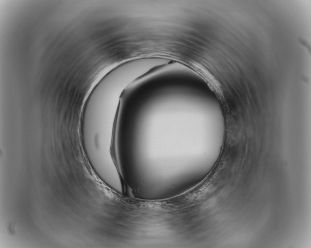 X0000096470956200802141655