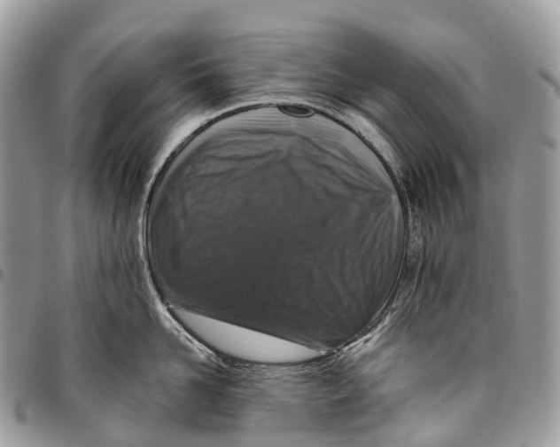 X0000096470958200802141655