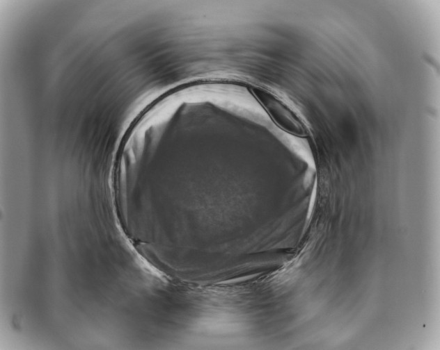 X0000096470959200802141655