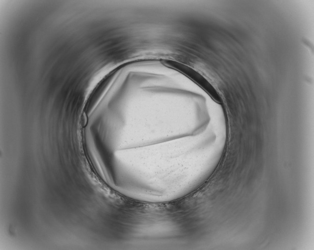 X0000096470960200802141655