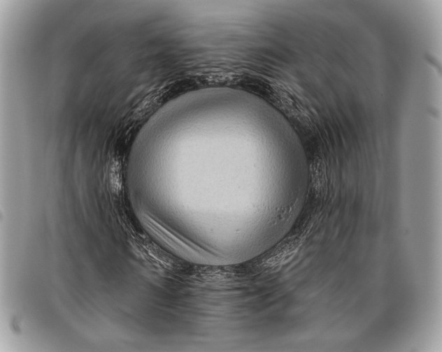 X0000096470962200802141654