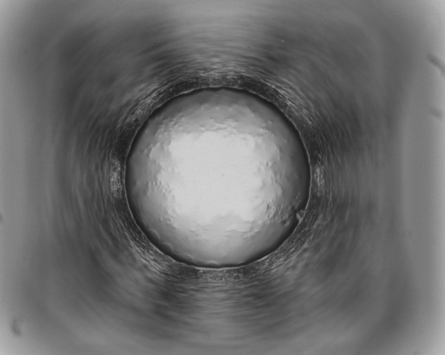 X0000096470963200802141654