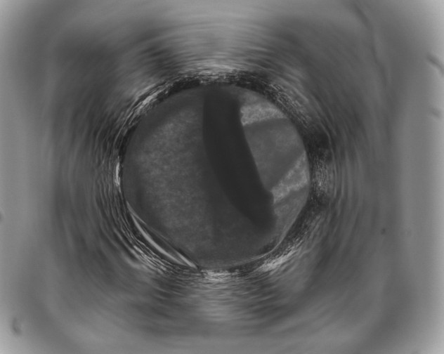 X0000096470964200802141654