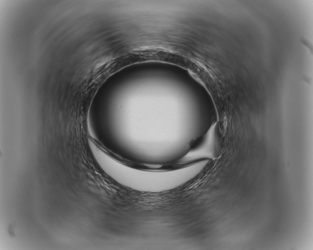 X0000096470965200802141654